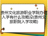 贵州文化旅游职业学院办理入学有什么攻略没(贵州文旅职院入学攻略)