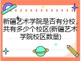 新疆艺术学院是否有分校，共有多少个校区(新疆艺术学院校区数量)