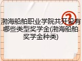 渤海船舶职业学院共开设有哪些类型奖学金(渤海船舶奖学金种类)