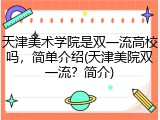 天津美术学院是双一流高校吗，简单介绍(天津美院双一流？简介)