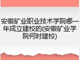 安徽矿业职业技术学院哪一年成立建校的(安徽矿业学院何时建校)