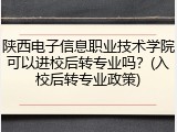 陕西电子信息职业技术学院可以进校后转专业吗？(入校后转专业政策)