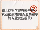 湖北商贸学院有哪些专业，就业前景如何(湖北商贸学院专业就业前景)
