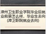 漳州卫生职业学院毕业后就业前景怎么样，毕业生去向(漳卫职院就业去向)