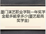 厦门演艺职业学院一年奖学金最多能拿多少(厦艺最高奖学金)