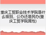 重庆工贸职业技术学院是什么级别，公办还是民办(重庆工贸学院属性)