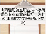 山西通用航空职业技术学院哪些专业就业前景好，为什么(山西航空学院好就业专业)