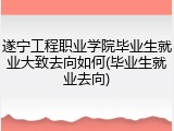 遂宁工程职业学院毕业生就业大致去向如何(毕业生就业去向)