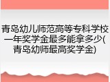 青岛幼儿师范高等专科学校一年奖学金最多能拿多少(青岛幼师最高奖学金)
