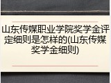 山东传媒职业学院奖学金评定细则是怎样的(山东传媒奖学金细则)