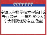 宁波大学科学技术学院什么专业最好，一年招多少人(宁大科院优势专业招生)