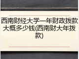 西南财经大学一年财政拨款大概多少钱(西南财大年拨款)