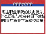 枣庄职业学院的校史简介，什么历史与社会背景下建校的(枣庄职业学院建校背景)