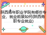 陕西青年职业学院有哪些专业，就业前景如何(陕西青职专业就业)