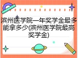 滨州医学院一年奖学金最多能拿多少(滨州医学院最高奖学金)