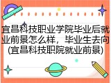 宜昌科技职业学院毕业后就业前景怎么样，毕业生去向(宜昌科技职院就业前景)