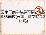 云南工商学院是不是211或985高校(云南工商学院是211吗)