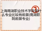 上海南湖职业技术学院读什么专业比较有前景(南湖职院前景专业)