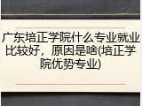 广东培正学院什么专业就业比较好，原因是啥(培正学院优势专业)