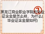 黑龙江商业职业学院的毕业证含金量怎么样，为什么(毕业证含金量如何)
