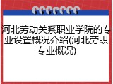 河北劳动关系职业学院的专业设置概况介绍(河北劳职专业概况)