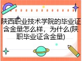 陕西职业技术学院的毕业证含金量怎么样，为什么(陕职毕业证含金量)