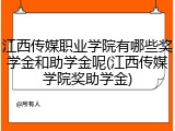 江西传媒职业学院有哪些奖学金和助学金呢(江西传媒学院奖助学金)