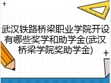 武汉铁路桥梁职业学院开设有哪些奖学和助学金(武汉桥梁学院奖助学金)