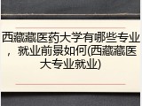 西藏藏医药大学有哪些专业，就业前景如何(西藏藏医大专业就业)