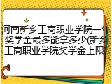 河南新乡工商职业学院一年奖学金最多能拿多少(新乡工商职业学院奖学金上限)