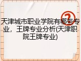 天津城市职业学院有哪些专业，王牌专业分析(天津职院王牌专业)