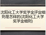 沈阳化工大学奖学金评定细则是怎样的(沈阳化工大学奖学金细则)