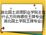 湖北国土资源职业学院主攻什么方向有哪些王牌专业(湖北国土学院王牌专业)