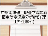 广州南洋理工职业学院最新招生简章深度分析(南洋理工招生解析)