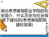 湖北孝感美珈职业学院的校史简介，什么历史与社会背景下建校的(孝感美珈职院建校背景)