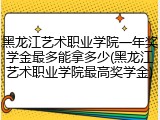黑龙江艺术职业学院一年奖学金最多能拿多少(黑龙江艺术职业学院最高奖学金)