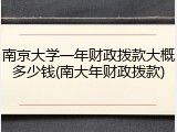 南京大学一年财政拨款大概多少钱(南大年财政拨款)