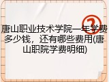 唐山职业技术学院一年学费多少钱，还有哪些费用(唐山职院学费明细)