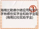海南比勒费尔德应用科学大学有哪些奖学金和助学金呢(海南比校奖助学金)