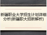 新疆职业大学招生计划详细分析(新疆职大招新解析)