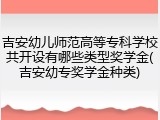 吉安幼儿师范高等专科学校共开设有哪些类型奖学金(吉安幼专奖学金种类)