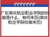 广东肇庆航空职业学院的校徽是什么，有何来历(肇庆航空学院校徽来历)
