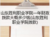 山东胜利职业学院一年财政拨款大概多少钱(山东胜利职业学院拨款)