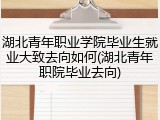 湖北青年职业学院毕业生就业大致去向如何(湖北青年职院毕业去向)