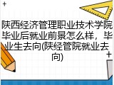 陕西经济管理职业技术学院毕业后就业前景怎么样，毕业生去向(陕经管院就业去向)