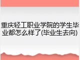 重庆轻工职业学院的学生毕业都怎么样了(毕业生去向)