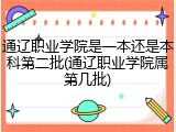 通辽职业学院是一本还是本科第二批(通辽职业学院属第几批)