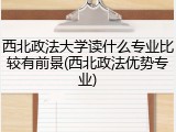 西北政法大学读什么专业比较有前景(西北政法优势专业)