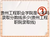 贵州工程职业学院是一本吗录取分数线多少(贵州工程职院录取线)