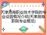 天津渤海职业技术学院的专业设置概况介绍(天津渤海职院专业概览)